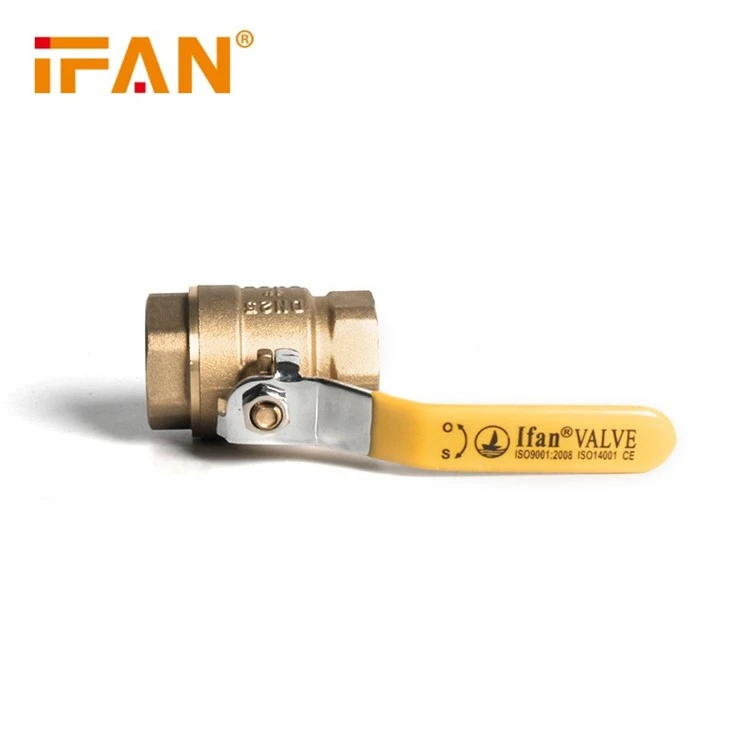 Double Female Brass Gas Valve